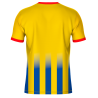 Camiseta de Equipación Fútbol con Cuello Redondo Personalizable