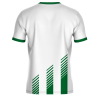 Camiseta fútbol sublimada Mil Rayas