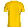 Camiseta fútbol sublimada Paneles