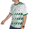 Camiseta fútbol sublimada mix