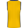 Conjunto de baloncesto sublimado modelo Tricolor