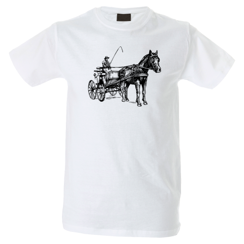 Camiseta hombre carroza