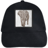 Gorra infantil con parche Elefante