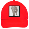 Gorra infantil con parche Elefante