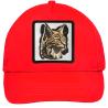 Gorra infantil con parche Lince