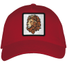 Gorra adulto con parche Lion