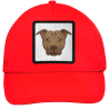 Gorra infantil con parche Pitbull