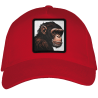 Gorra adulto con parche Simio