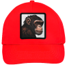 Gorra infantil con parche Simio