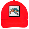 Gorra infantil con parche Tortuga Marina