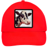 Gorra infantil con parche Vaca