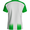 Camiseta técnica multideporte sublimada MONTREAL personalizable en 12 zonas distintas