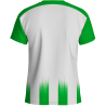 Camiseta técnica multideporte sublimada AYAMONTE personalizable en 12 zonas distintas