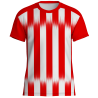 Camiseta técnica multideporte sublimada INTER personalizable en 12 zonas distintas