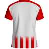 Camiseta técnica multideporte sublimada INTER personalizable en 12 zonas distintas