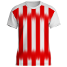 Camiseta técnica multideporte sublimada STRIPE personalizable en 12 zonas distintas