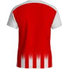 Camiseta técnica multideporte sublimada STRIPE personalizable en 12 zonas distintas