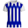 Camiseta técnica multideporte sublimada STRIPE personalizable en 12 zonas distintas