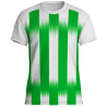 Camiseta técnica multideporte sublimada MADRID personalizable en 12 zonas distintas