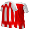 Camiseta técnica multideporte sublimada MADRID personalizable en 12 zonas distintas